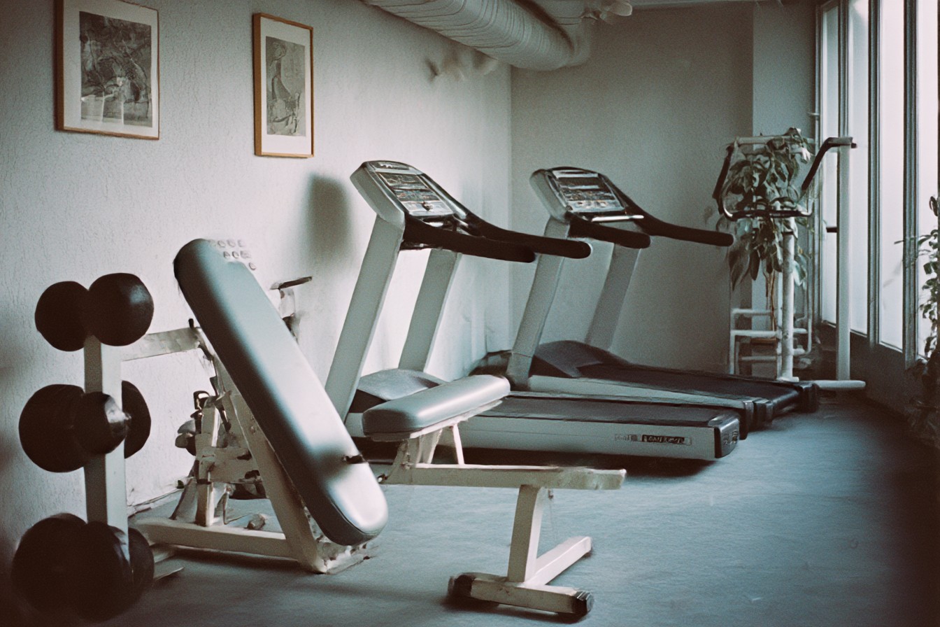 im1979_My_Collection_of_Abandoned_Fitness_Equipment._The_phys_43c1b373-4839-4991-b4dd-460a53891383_3