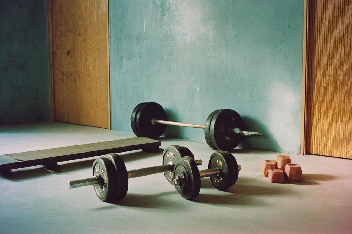 im1979_My_Collection_of_Abandoned_Fitness_Equipment._The_phys_a31883f3-def9-4cf3-9239-3f170c157de3_0