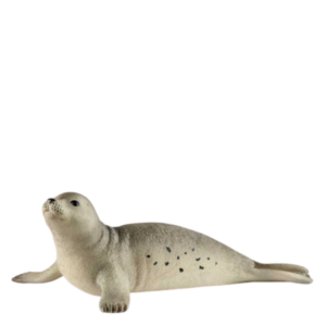 Beer and Ale Gifts for Home